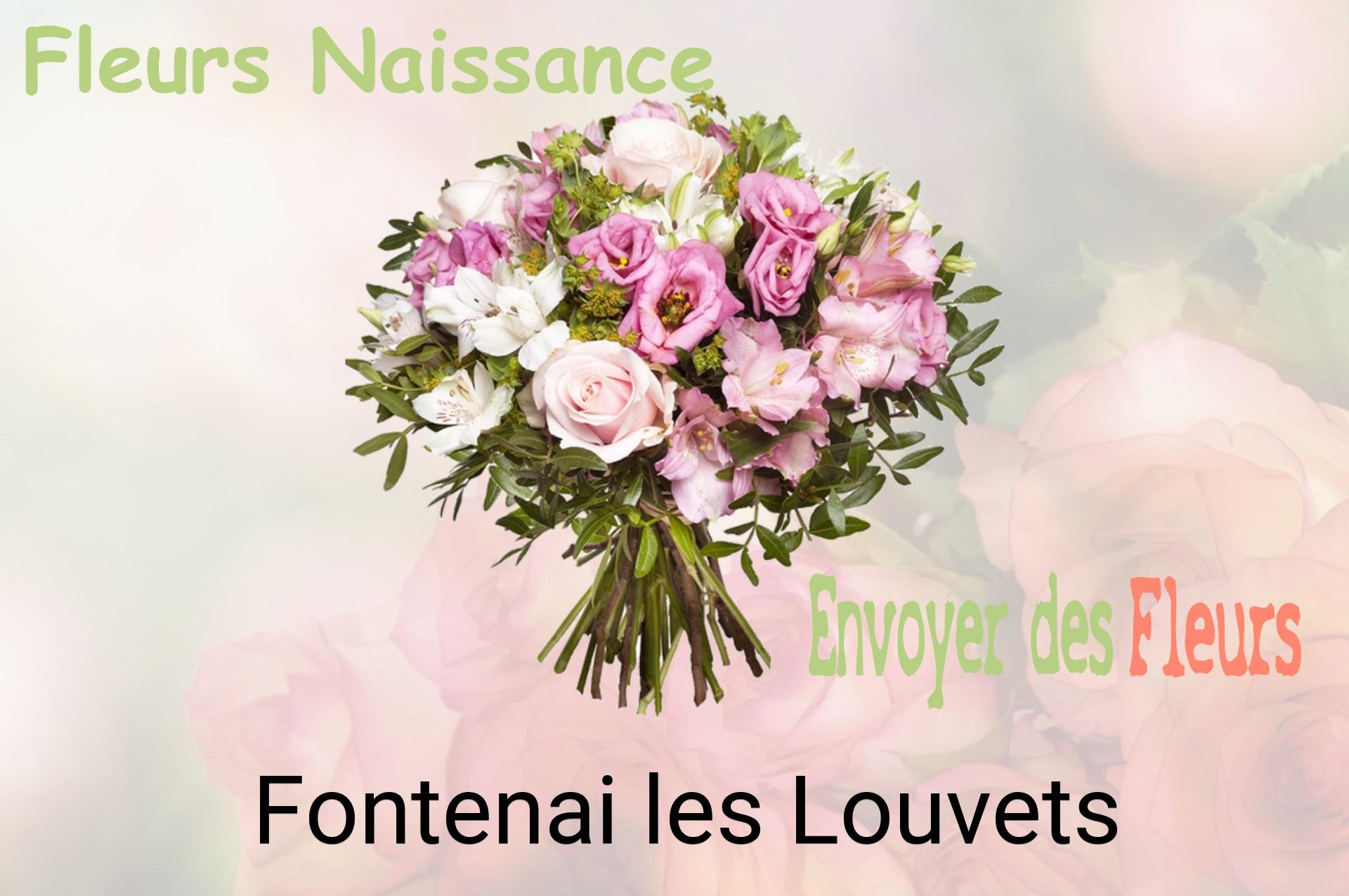 Bouquet de fleurs de naissance livré à Fontenai-les-Louvets