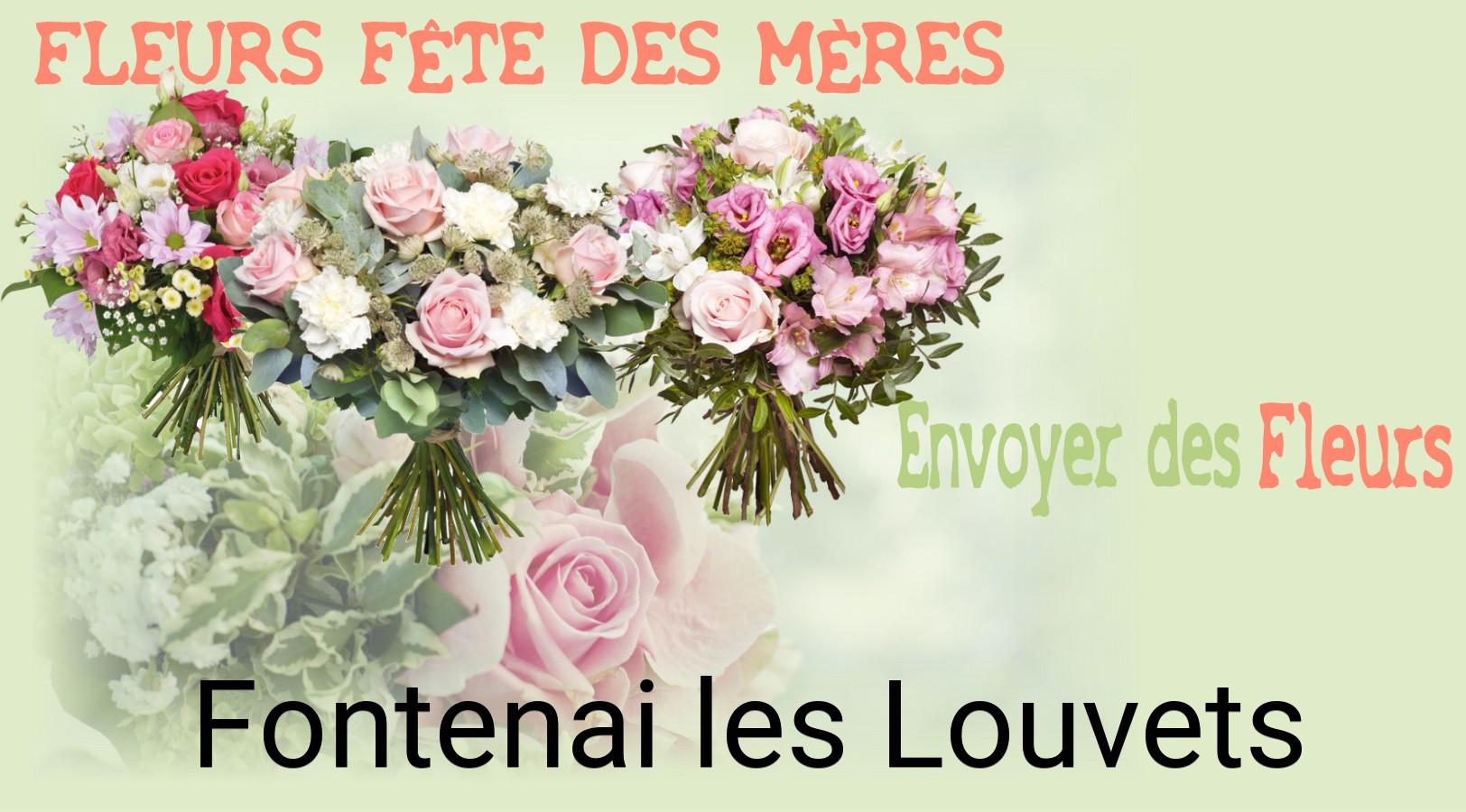 Bouquet de Fête des Mères livré à Fontenai-les-Louvets